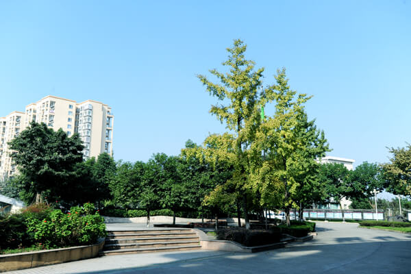 棠湖外國語實驗學校校園風采