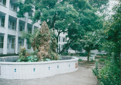 內(nèi)江十三中地址在哪？