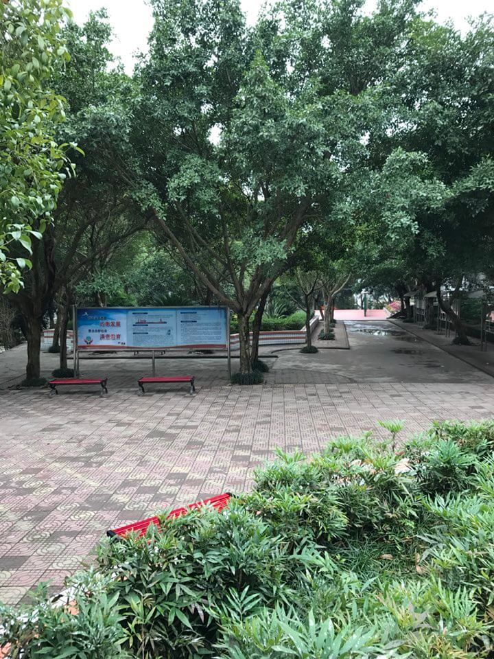 內(nèi)江十二中好嗎？