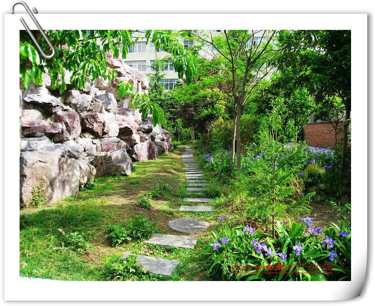 甘洛中學(xué)地址在哪里？