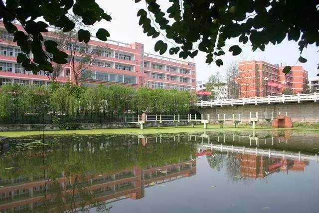 江安中學官網和招生電話是多少？