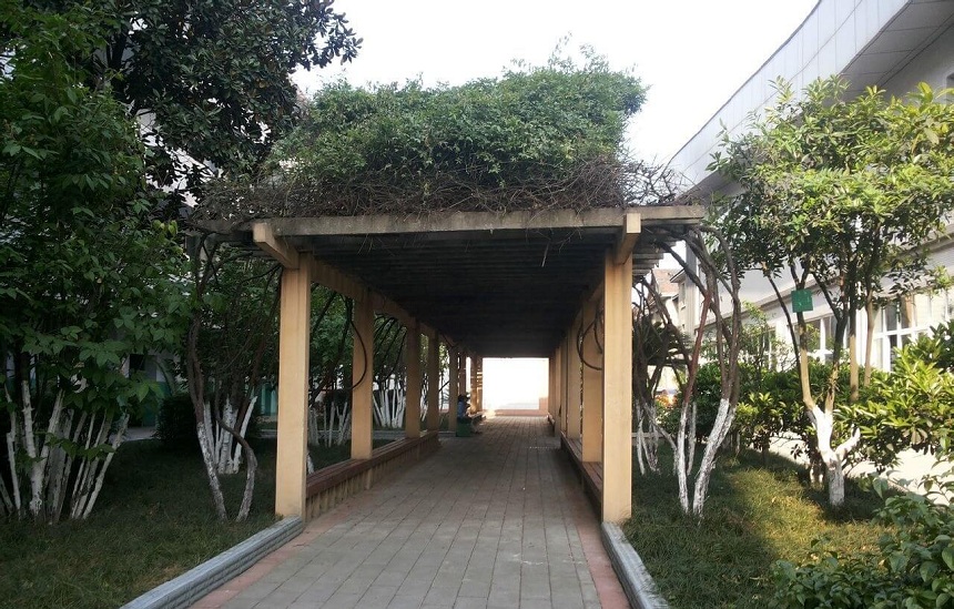 通錦中學(xué)環(huán)境怎么樣？