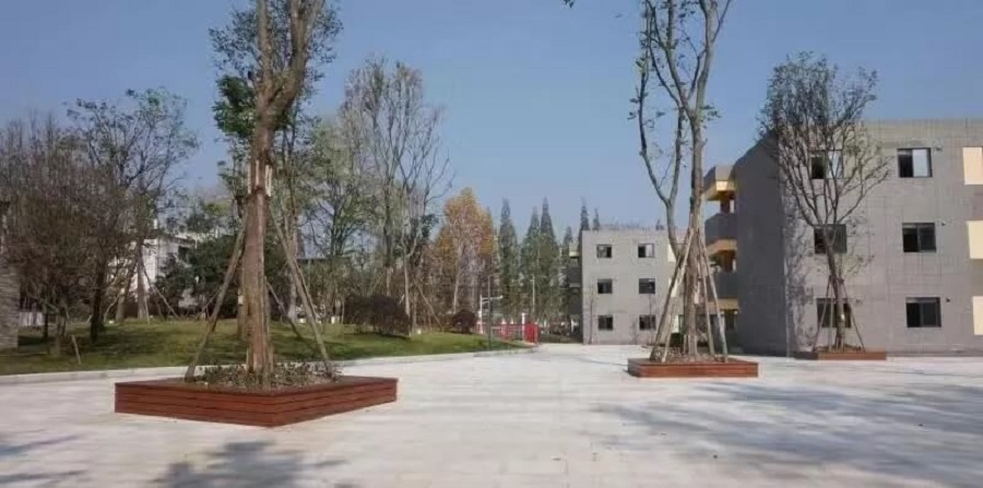 成都綿實(shí)外國(guó)語(yǔ)學(xué)校2019年招生公告公布了嗎？