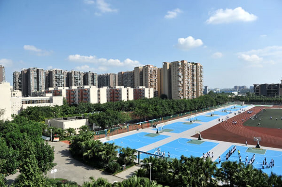 成都棠湖外國語學校2019年招生計劃出來了嗎？