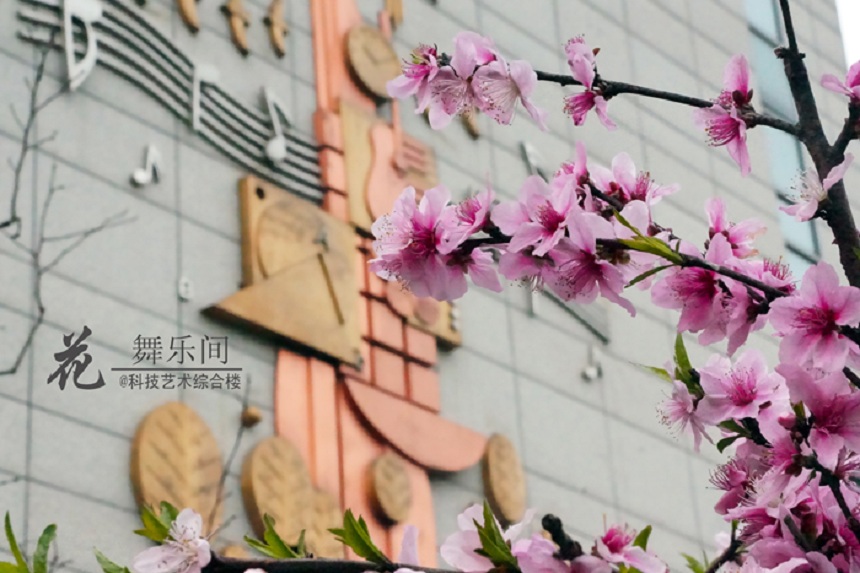 石室天府中學(xué)環(huán)境好不好、怎么樣？