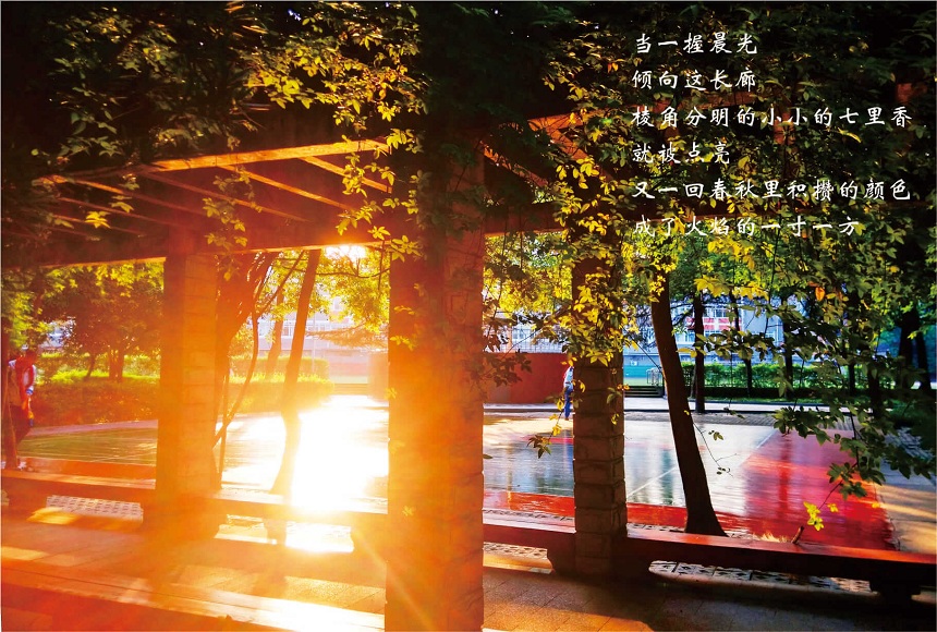成都七中高新校區(qū)2019年中考分?jǐn)?shù)線是多少？