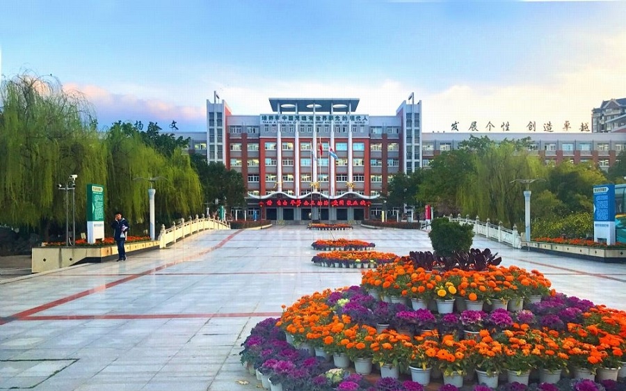 綿陽東辰學校官網網址是什么？