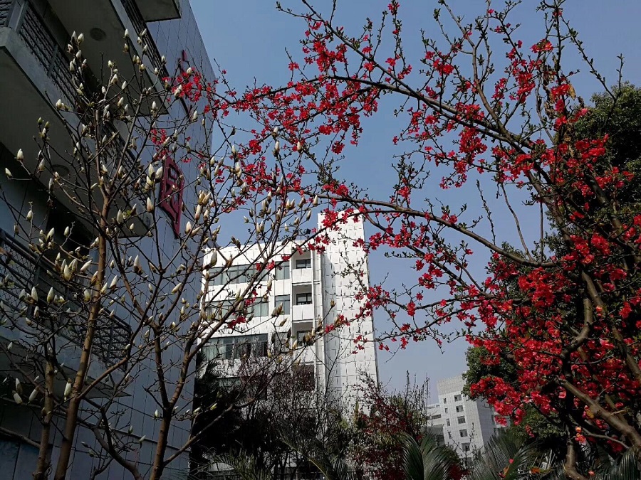 綿陽南山中學(xué)教學(xué)質(zhì)量怎么樣？