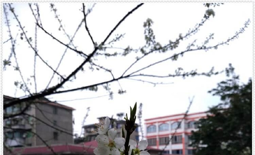 洪雅中學(xué)是一所公辦高中學(xué)嗎？