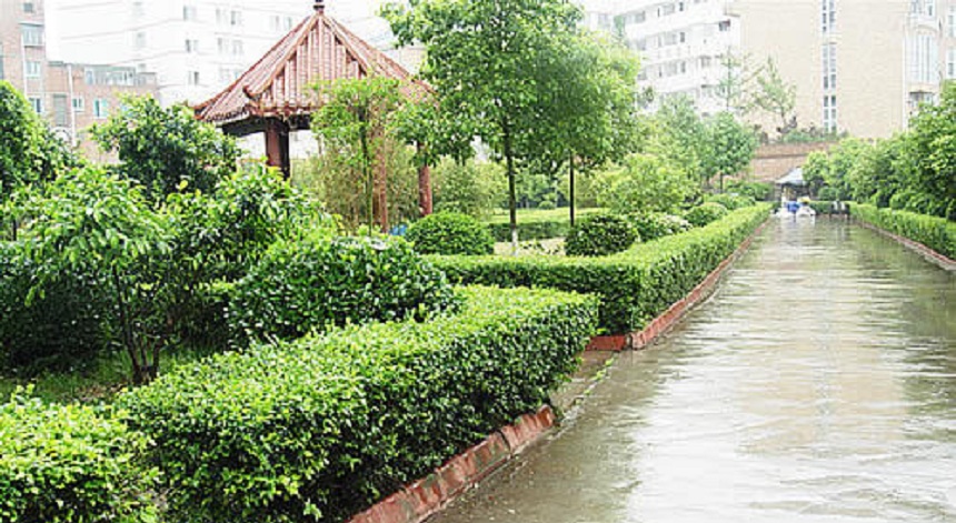 華興中學(xué)環(huán)境好不好？