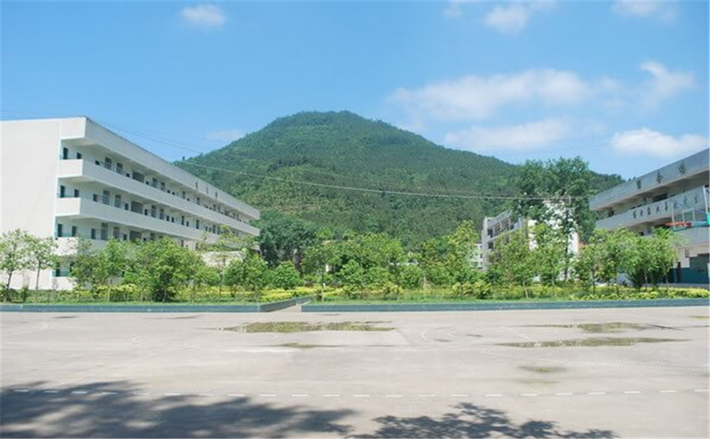 金山中學(xué)學(xué)校環(huán)境如何？