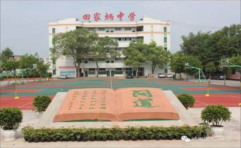瀘洲市田家炳中學(xué)是公辦學(xué)校嗎？