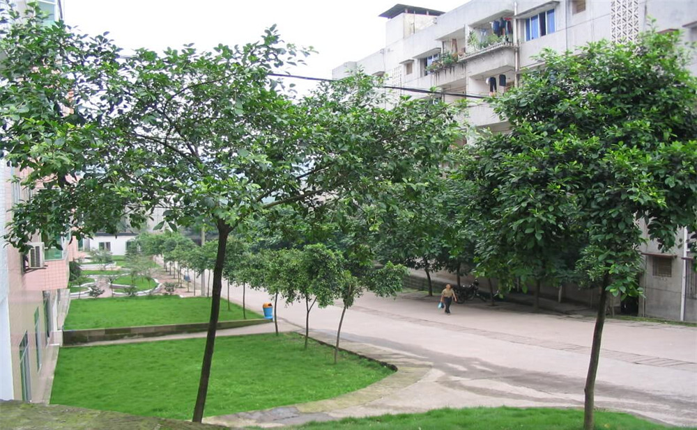 瀘州市納溪區(qū)護(hù)國(guó)中學(xué)地址在哪里？