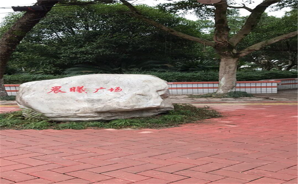 內(nèi)江十二中2020年升學率怎么樣？