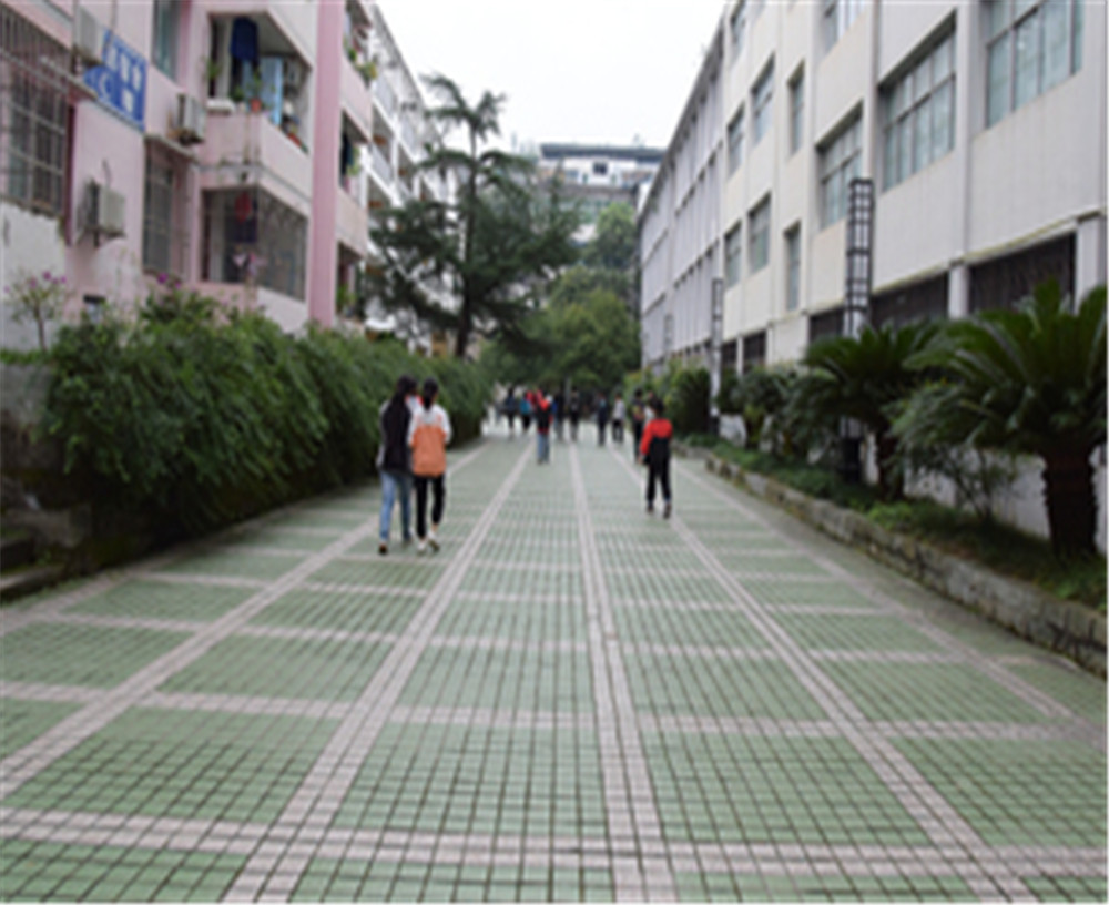 歧坪中學2020年的錄取分數是多少？