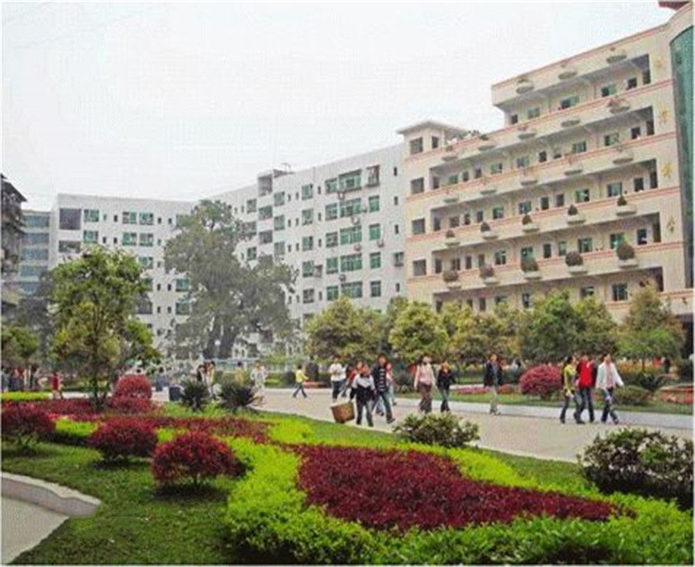 渠縣第二中學(xué)學(xué)校2020年的錄取分?jǐn)?shù)公布了嗎？