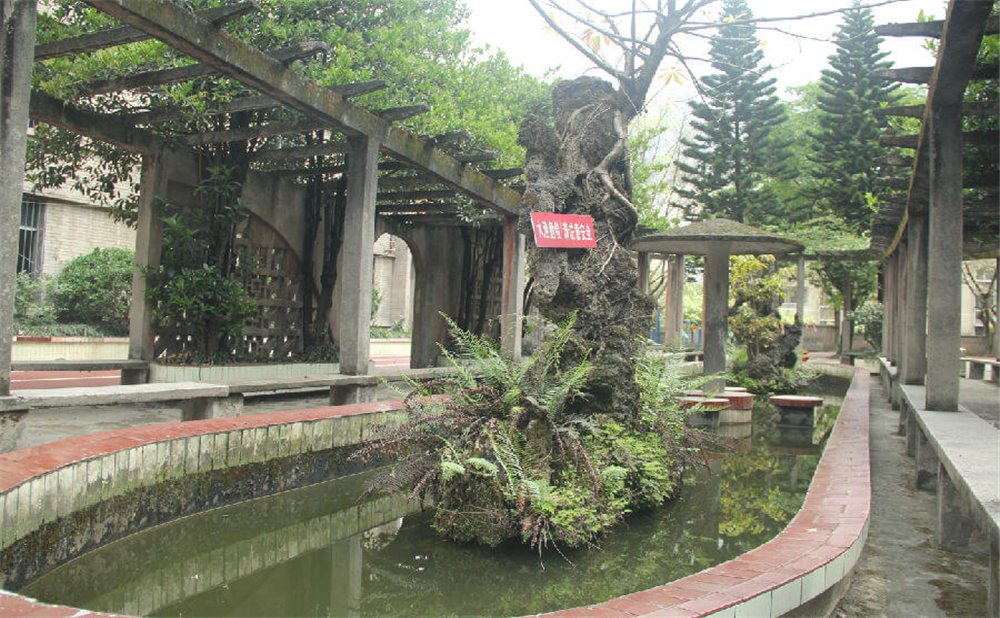 內(nèi)江鐵路中學(xué)學(xué)校環(huán)境怎么樣？