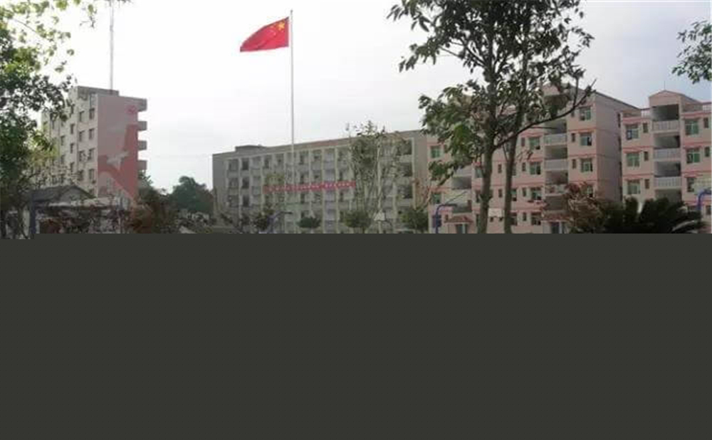 內(nèi)江市第十一中學(xué)學(xué)校招辦電話是多少？