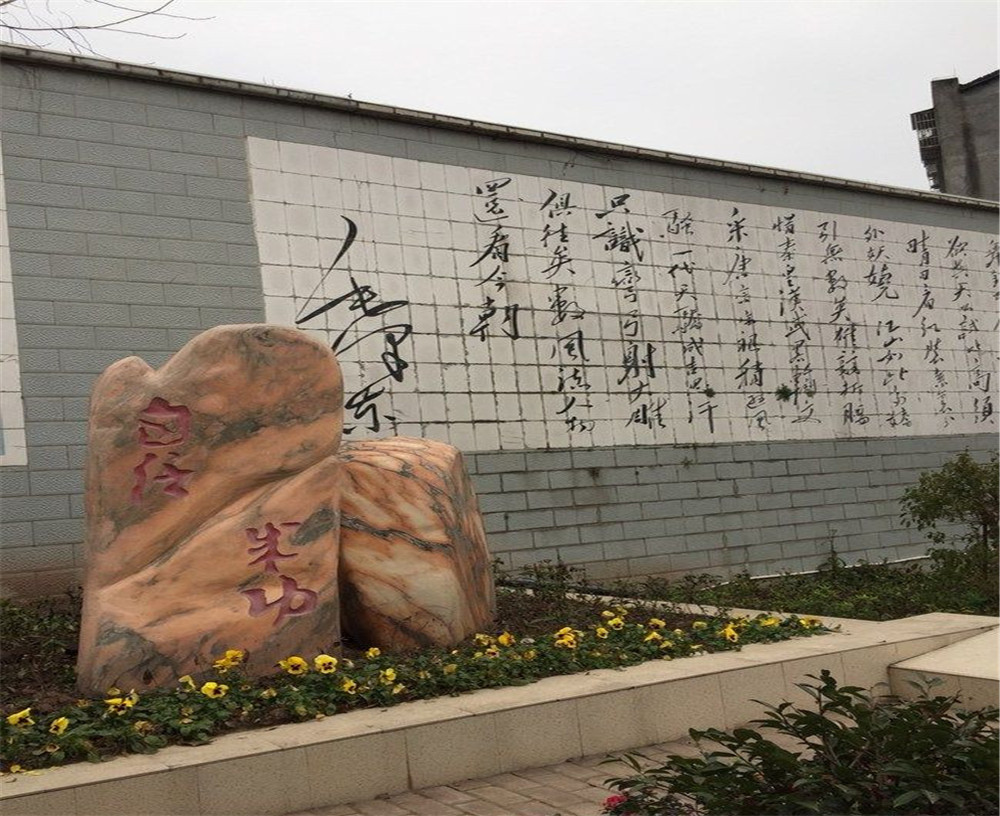 蒲家中學(xué)2020年招生計(jì)劃在哪兒看？