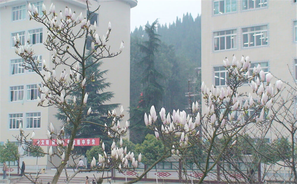 建興中學(xué)2020年中考錄取分?jǐn)?shù)線多少分？