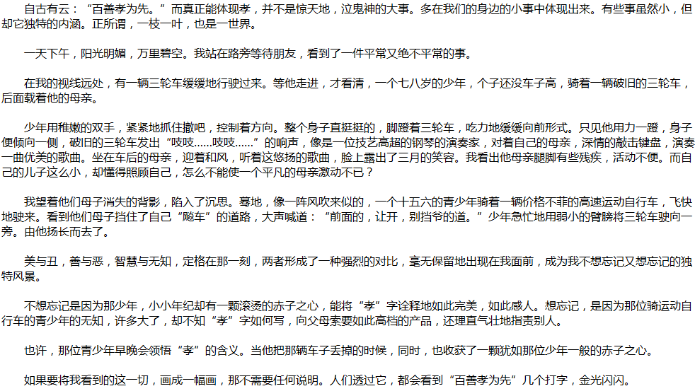 2020年中考滿(mǎn)分作文說(shuō)明文參考范文：我眼中的風(fēng)景
