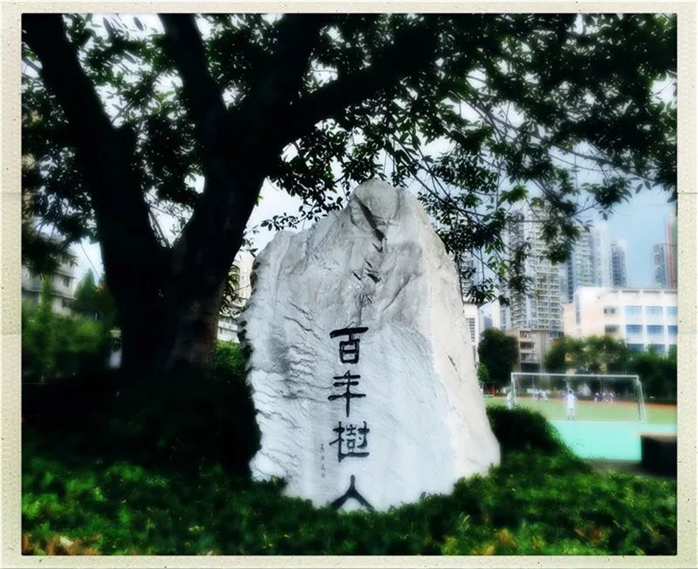 四川大學(xué)附屬中學(xué)2020年的錄取分?jǐn)?shù)線是多少？