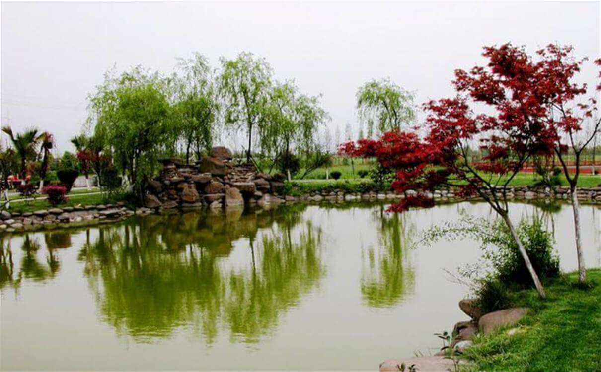 成都七中實(shí)驗(yàn)學(xué)校高中部的錄取分?jǐn)?shù)是多少？