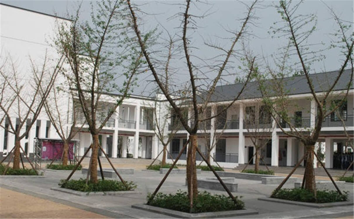 石室白馬中學(xué)的高中怎么樣？