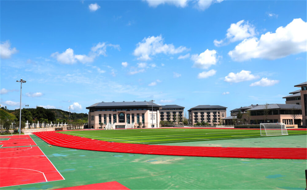 蒲江中學(xué)2020年招生錄取分?jǐn)?shù)線是多少？