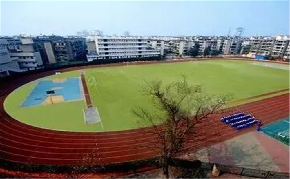 成都實外新都五龍山學校招生一年的學費是多少？
