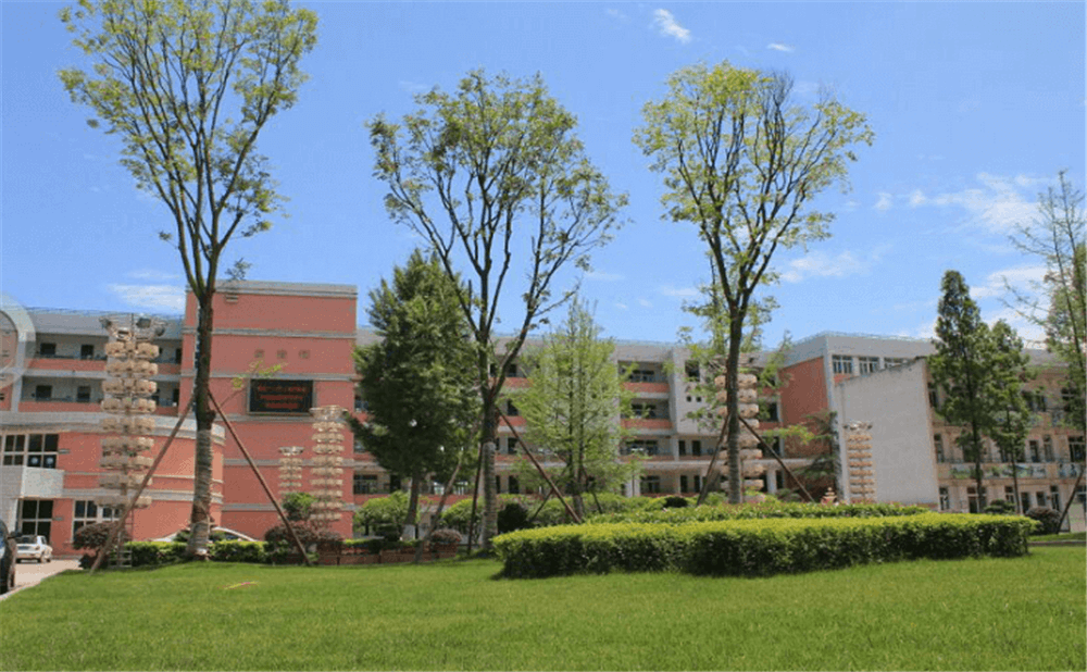 成都市籍田中學(xué)的老師怎么樣？