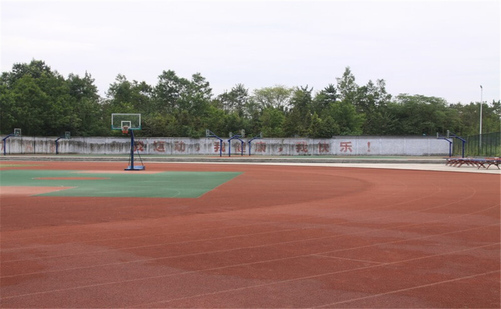 樹德懷遠(yuǎn)中學(xué)2020年招生計劃在哪兒看？