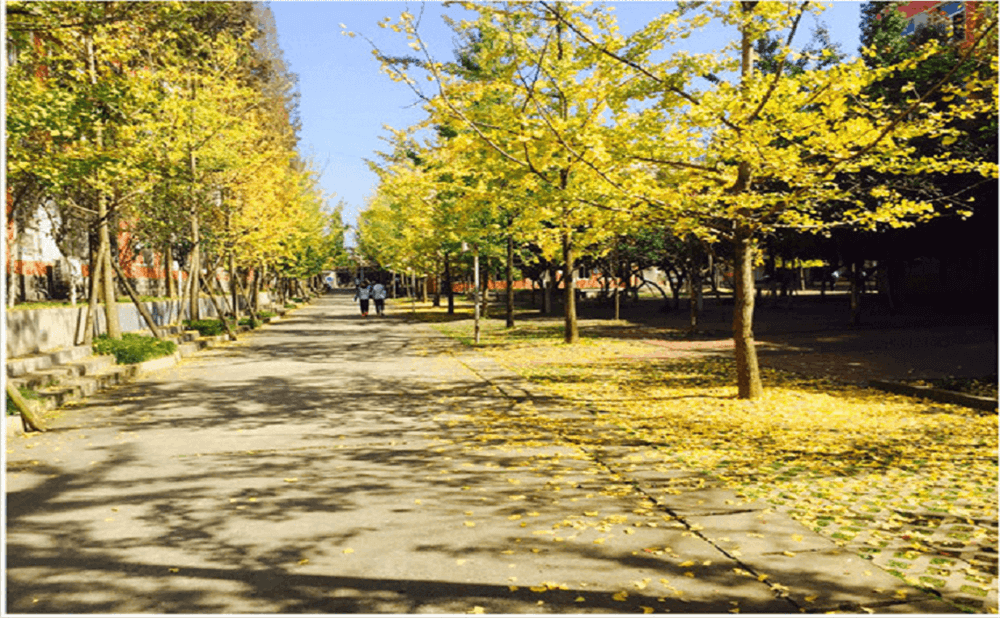 大邑中學(xué)2020年招生標(biāo)準(zhǔn)在哪兒看？