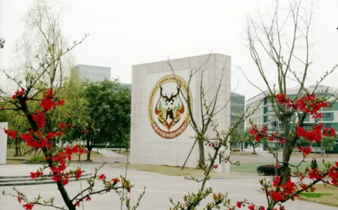 成都實驗外國語學校（西區(qū)）2020年的招生標準是什么？