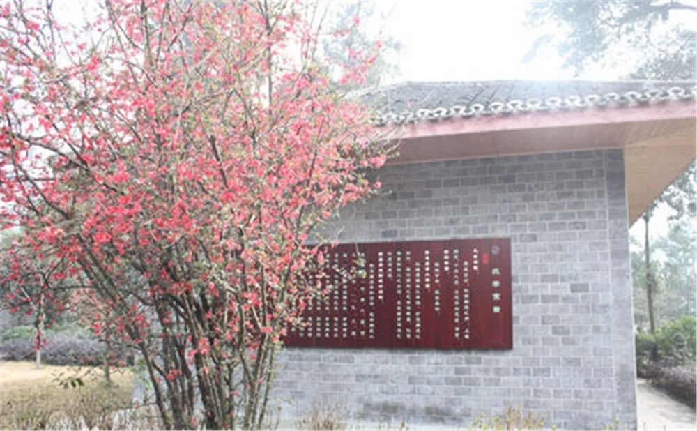 彭州中學(xué)2020年招生標(biāo)準(zhǔn)在哪兒看？