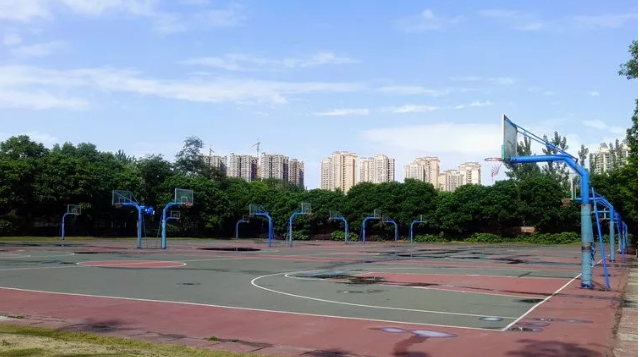 成都實(shí)驗(yàn)外國語學(xué)校的本科升學(xué)率是多少？