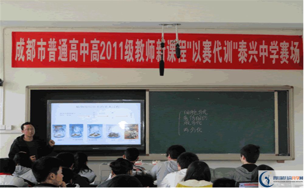 2020泰興中學的升學率有多少？