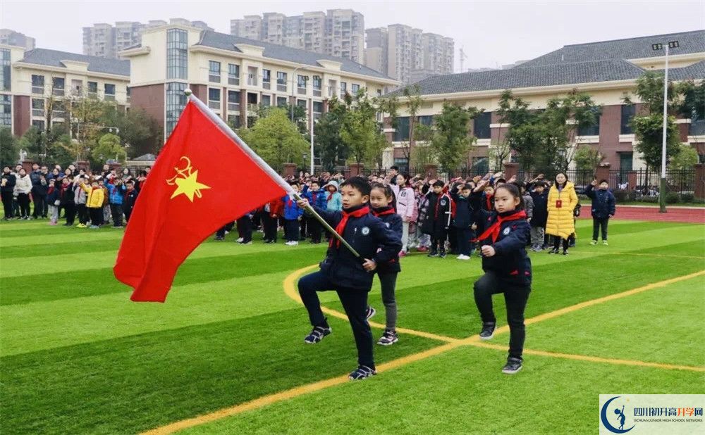 成都教科院附屬學(xué)校的學(xué)費收費標準是多少？
