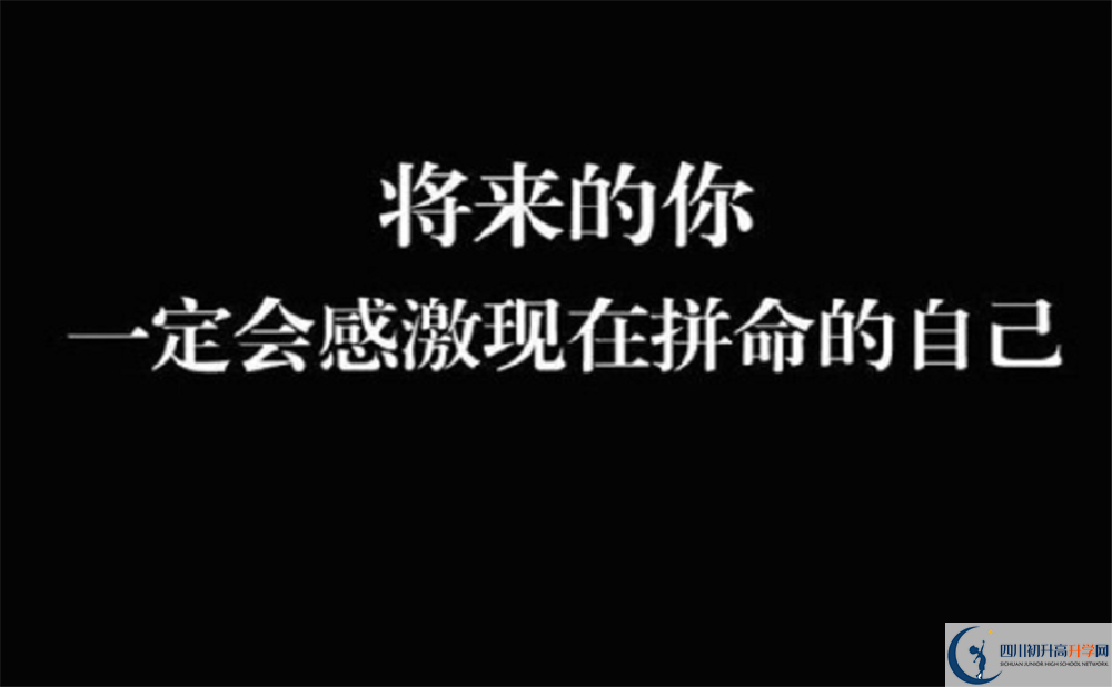 金牛中學(xué)的學(xué)費收費標(biāo)準(zhǔn)是多少？