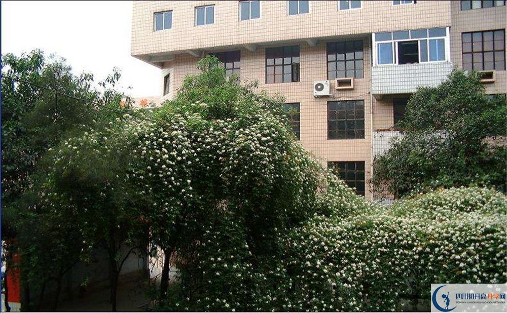 石室聯(lián)合中學蜀華分校一學期的學費是多少？