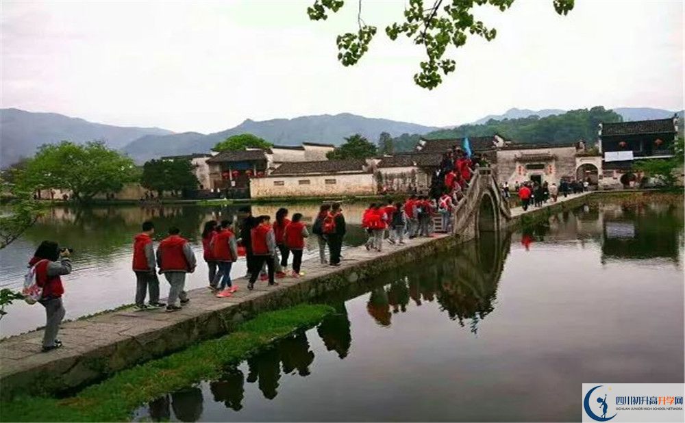 成都市泡桐樹中學的學費一期是多少？