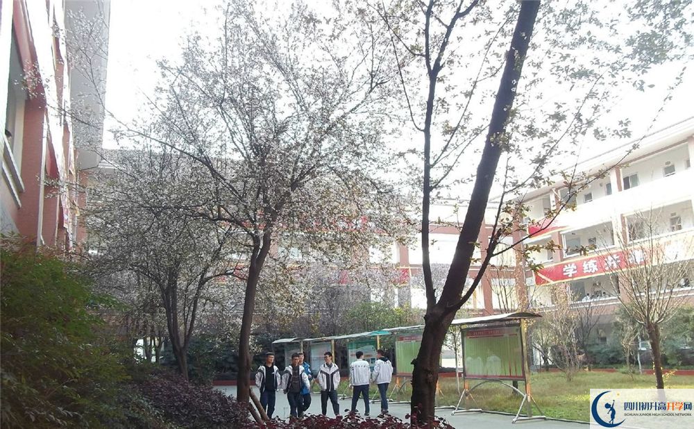 成都三十六中高中歷年來的分數線是多少分？