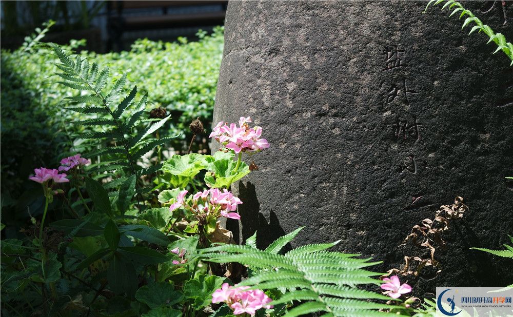 石室聯(lián)合中學(xué)蜀華分校住宿費(fèi)用是多少？