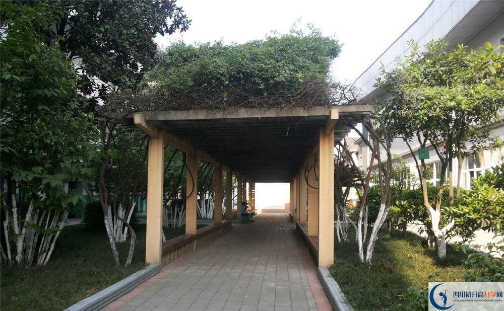 通錦中學(xué)2020年清華北大錄取學(xué)生有多少？