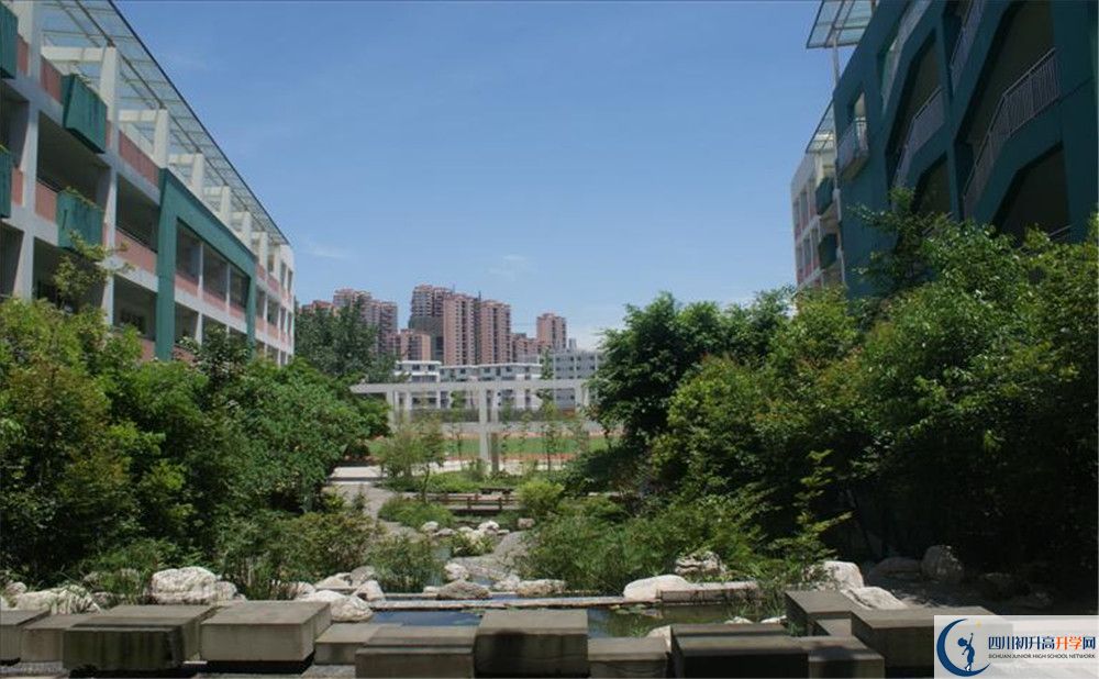 四川師范大學(xué)實(shí)驗(yàn)外國(guó)語(yǔ)學(xué)校2020年保送清華北大的人數(shù)？