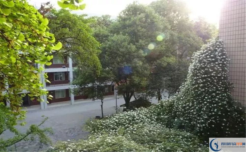 成都市石室聯(lián)中蜀華分校2020年保送清華北大的人數(shù)是多少？