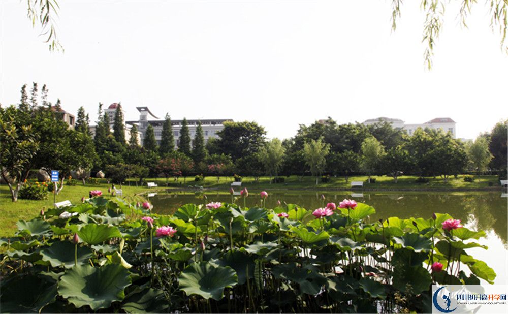 成都教科院附屬學(xué)校2020年保送清華北大的人數(shù)是多少？