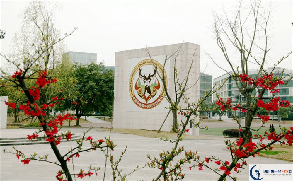 成都實(shí)驗(yàn)外國(guó)語(yǔ)學(xué)校（西區(qū)）的高中住宿怎么樣？