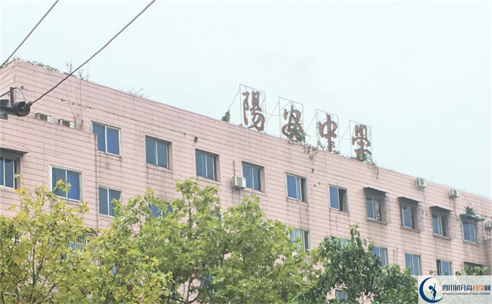 陽安中學(xué)初升高難不難？