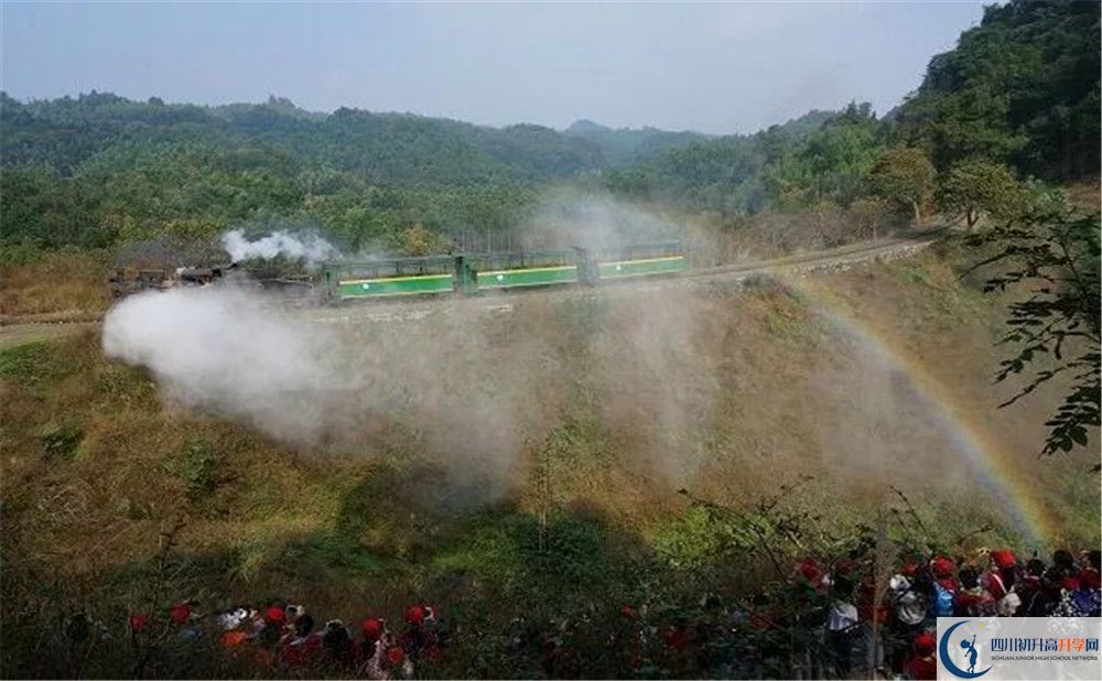 成都市泡桐樹中學(xué)國(guó)際班費(fèi)用是多少？